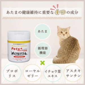 猫専用サプリメント ペッツプラス プレミアムバイタル | ハピナルオンラインショップ